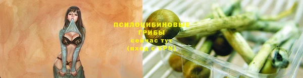 прущая мука Инта